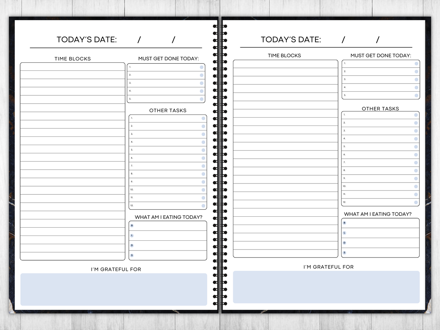 Plan For Success DIGITAL PLANNER